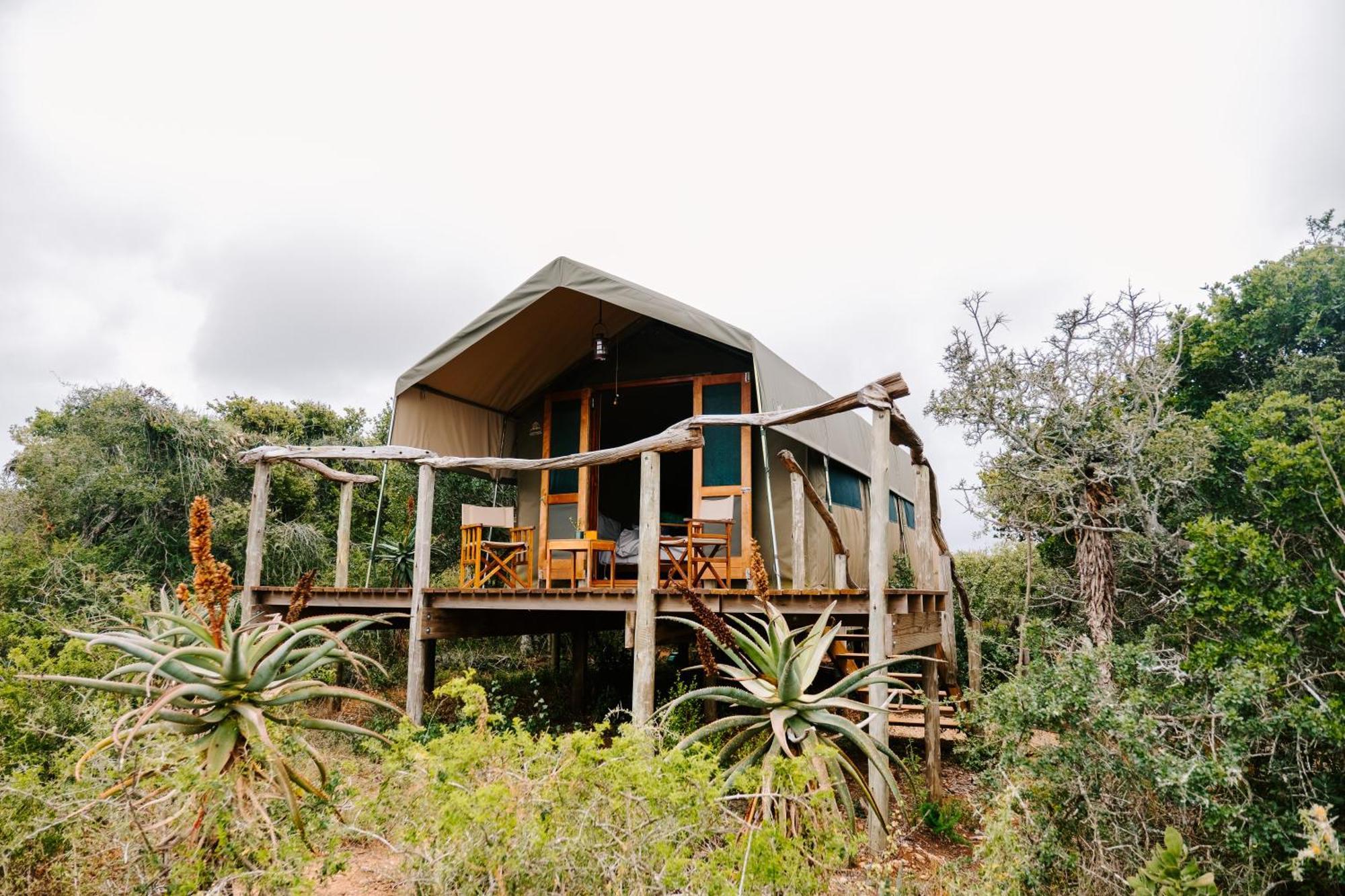 Woodbury Tented Camp - Rezervaţia Naturală Amakhala Exterior foto