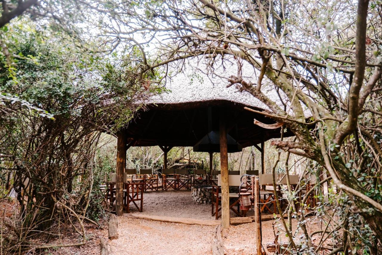Woodbury Tented Camp - Rezervaţia Naturală Amakhala Exterior foto