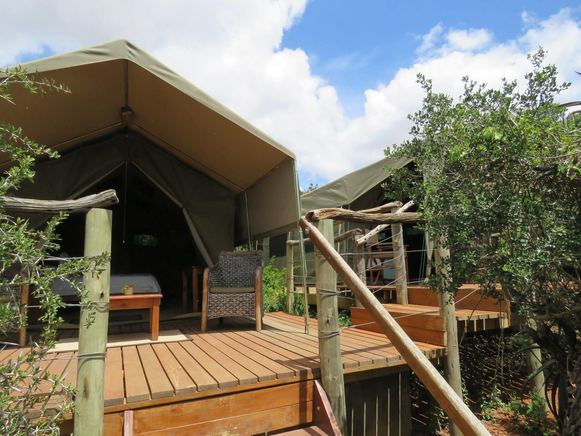 Woodbury Tented Camp - Rezervaţia Naturală Amakhala Exterior foto