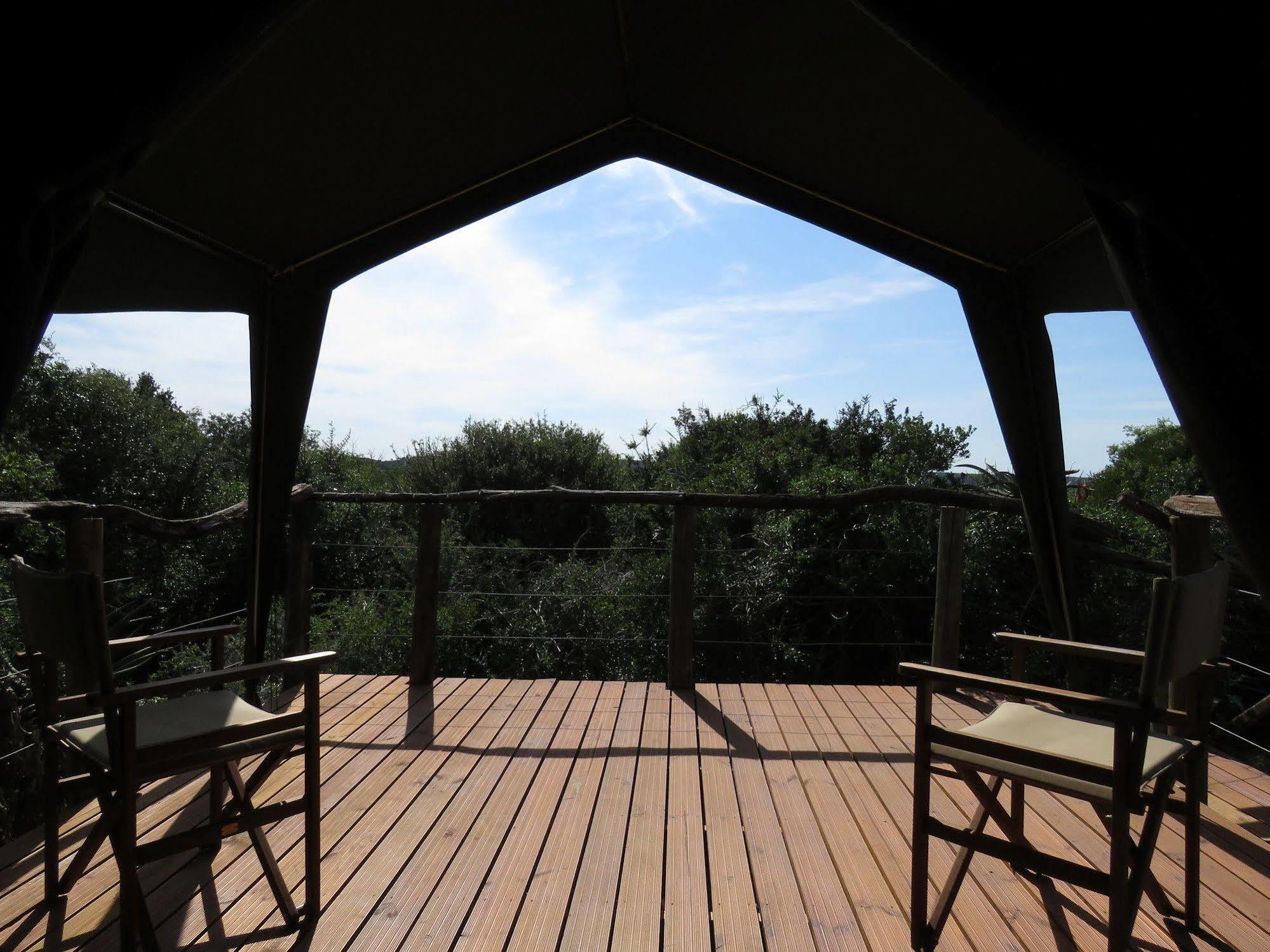 Woodbury Tented Camp - Rezervaţia Naturală Amakhala Exterior foto