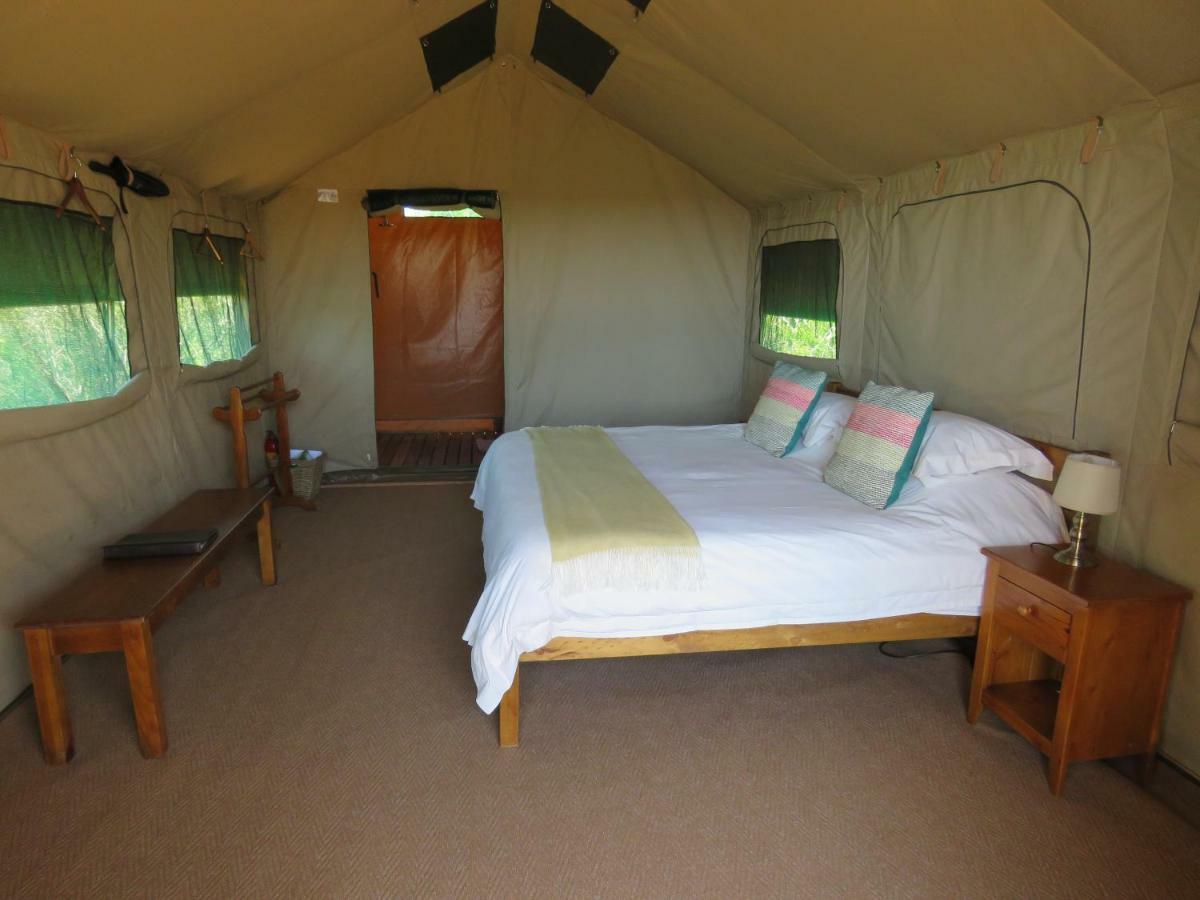 Woodbury Tented Camp - Rezervaţia Naturală Amakhala Exterior foto