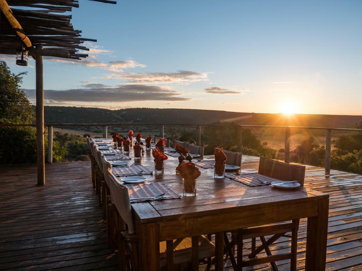 Woodbury Tented Camp - Rezervaţia Naturală Amakhala Exterior foto